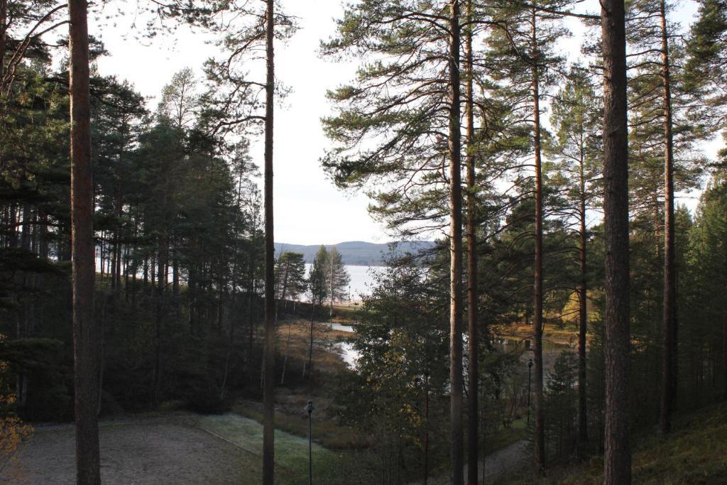 Hotel Tulikettu Sotkamo Exterior foto