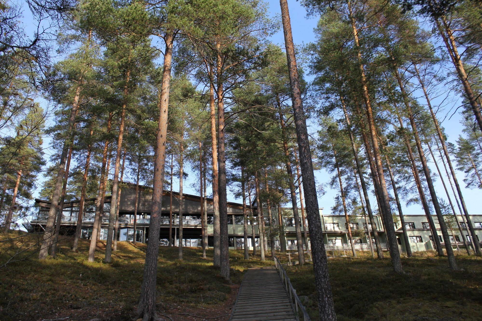 Hotel Tulikettu Sotkamo Exterior foto